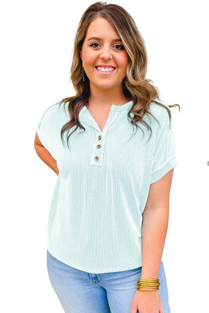 Iceland Blue Plus Size Textured Henley T Shirt