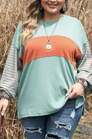 Grass Green Plus Size Striped Long Sleeve Colorblock Top