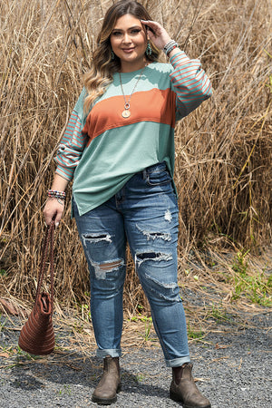 Grass Green Plus Size Striped Long Sleeve Colorblock Top