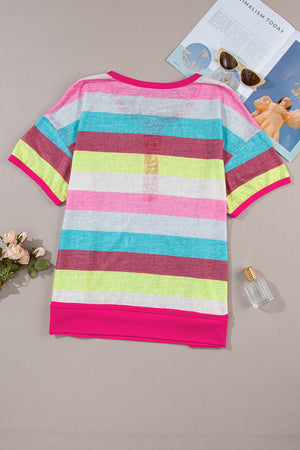 Rose Stripe Colorblock Plus Size Knit Henley Top