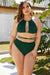 Plus Size Cutout Tied Backless Bikini Set